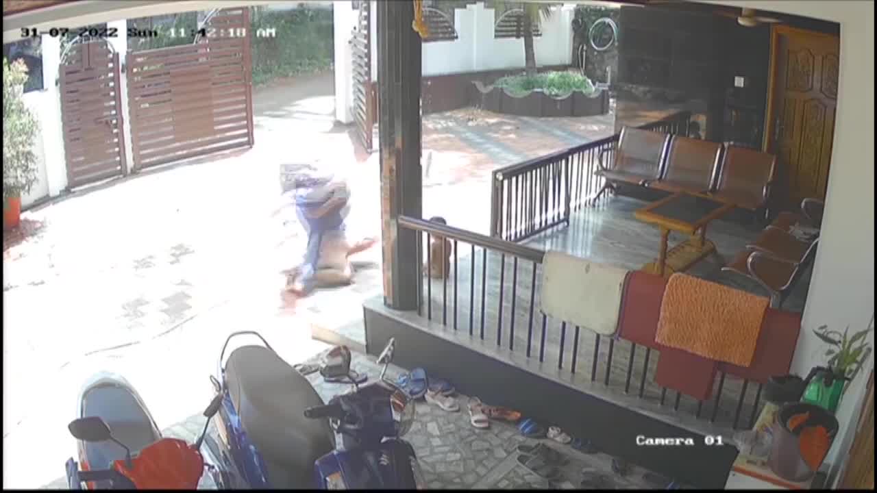 Video - Clip: Em trai rơi khỏi ban công, anh trai nhanh trí giơ tay đỡ gọn