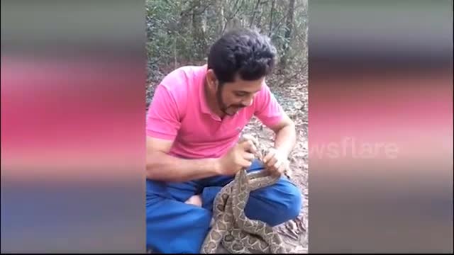 Video - Clip: Người đàn ông liều mạng ngậm đầu 4 con rắn độc vào miệng