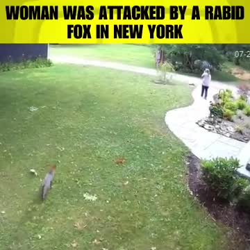 Video - Clip: Bị cáo tấn công, người phụ nữ 'phản đòn' cực gắt và cái kết