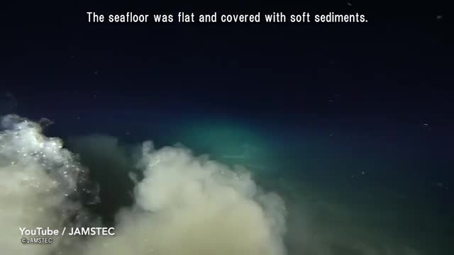 Video - Clip: Cận cảnh loài cá lớn nhất thế giới sống ở độ sâu gần 2.000 mét