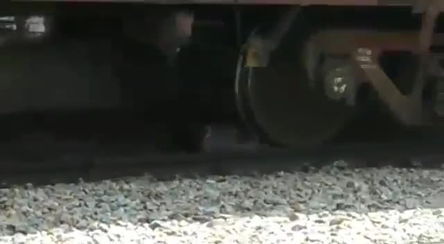 Video - Clip: Người đàn ông liều chết nằm dưới đường ray để tàu chạy qua