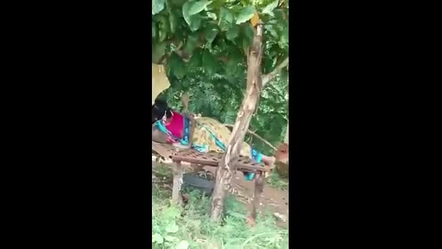 Video - Thót tim cảnh người phụ nữ bị rắn hổ mang trườn lên người khi đang ngủ