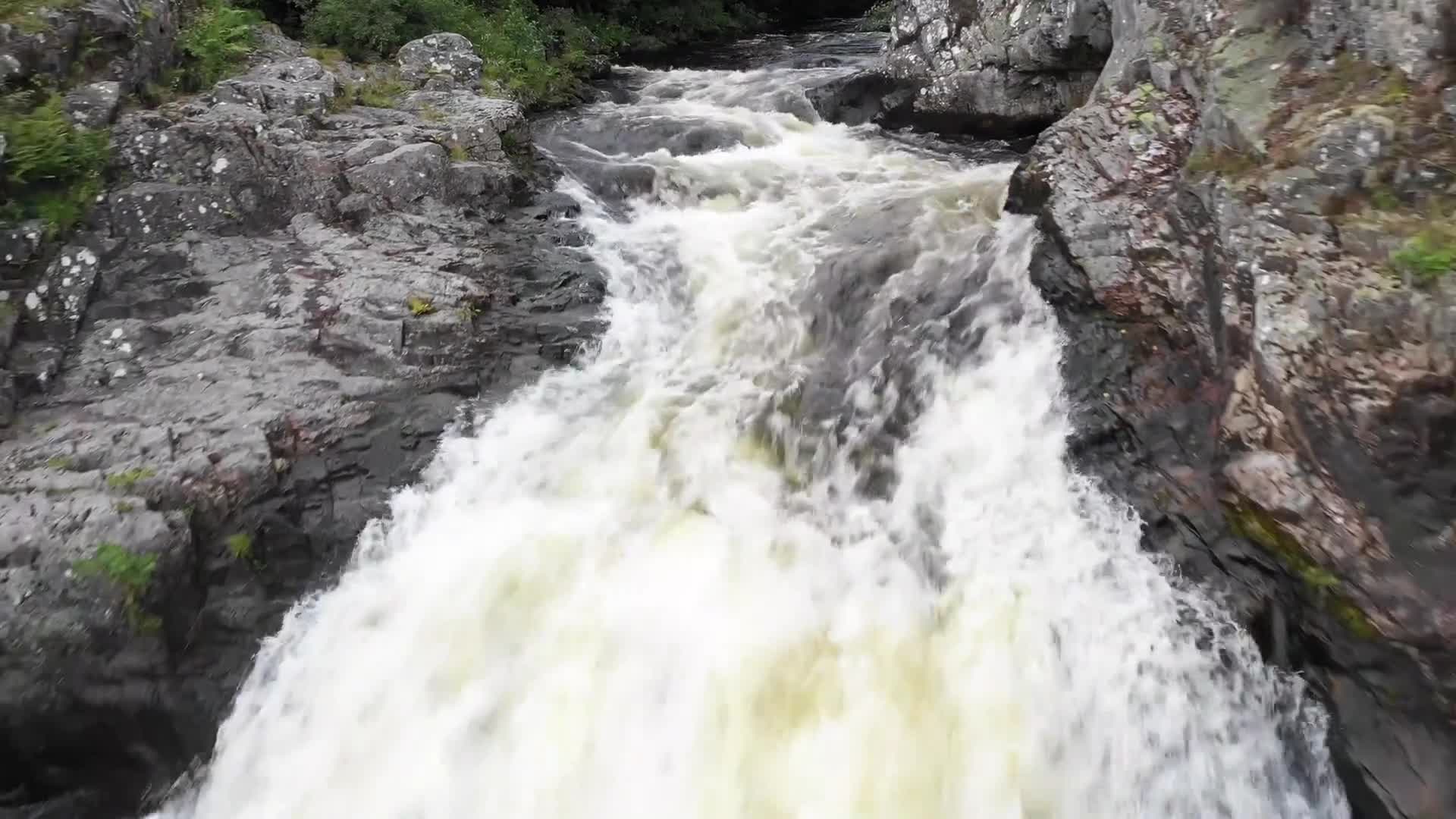 Video - Clip: Đẹp mê hồn cảnh cá hồi ngược dòng khi mùa thu đến