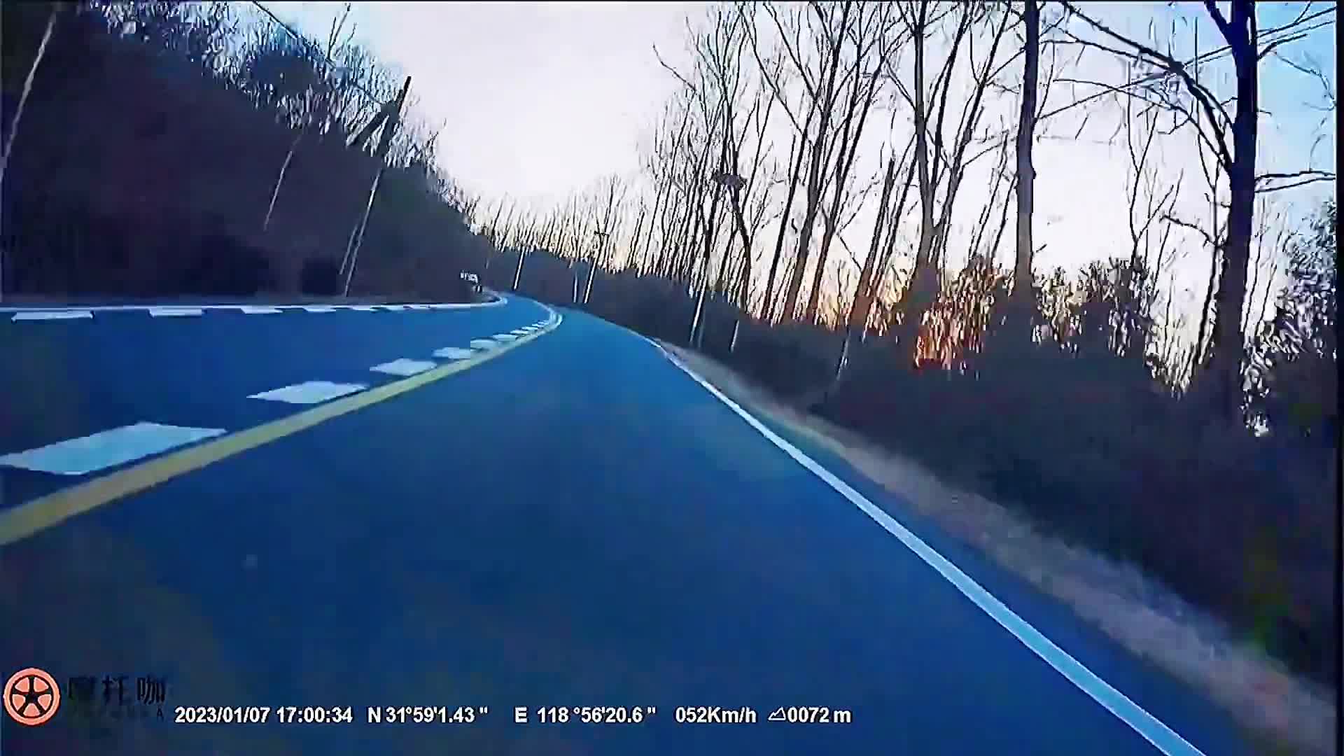 Video - Clip: Người đi xe máy bất ngờ bị lợn rừng húc trúng