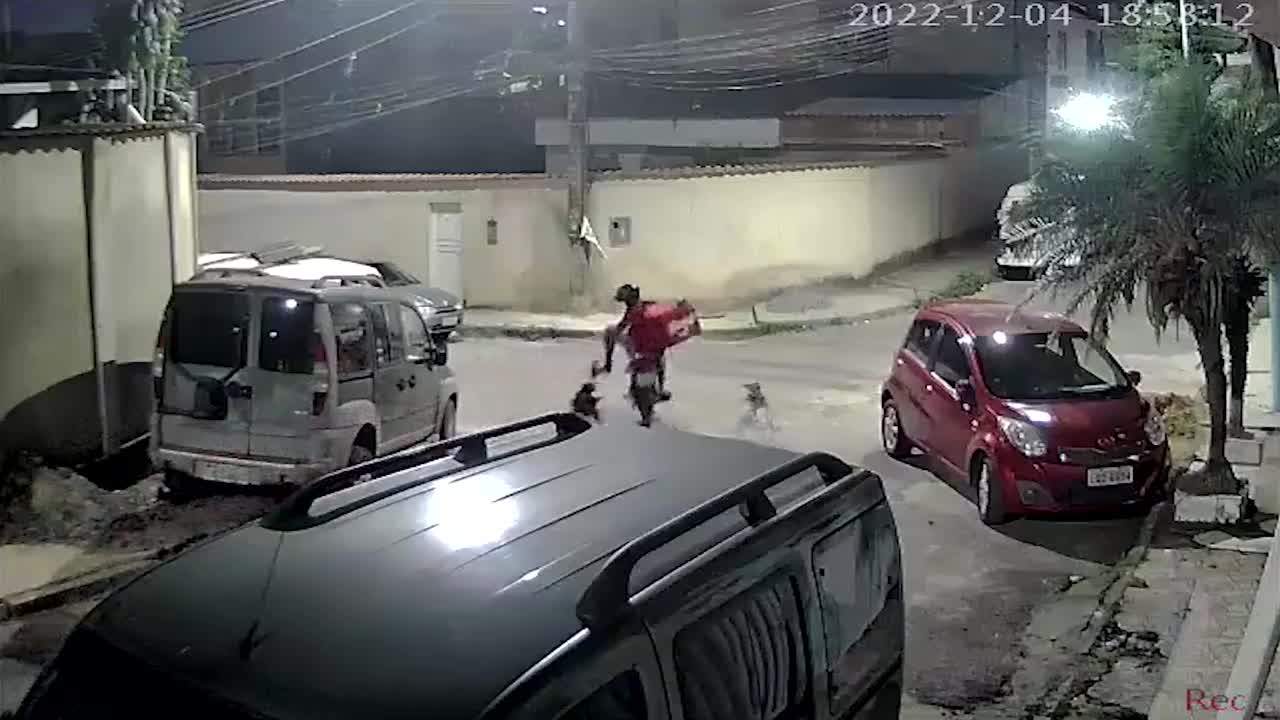 Video - Clip: Bị đàn chó hoang truy đuổi, nam thanh niên lao xe vào tường