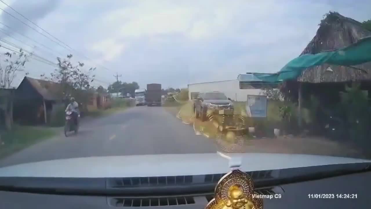 Video - Clip: 'Tạt đầu' ô tô, bò thả rông bị tông văng lên nắp capo