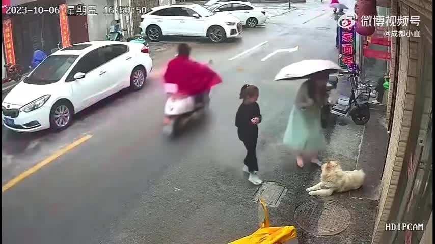 Video - Clip: Vuốt ve chó lạ bên đường, người phụ nữ nhận cái kết bất ngờ