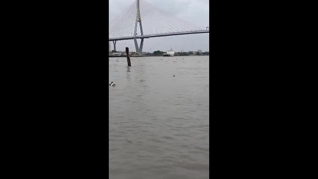 Video - Clip: Người đàn ông nhảy xuống sông cứu cậu bé đang vùng vẫy dưới nước