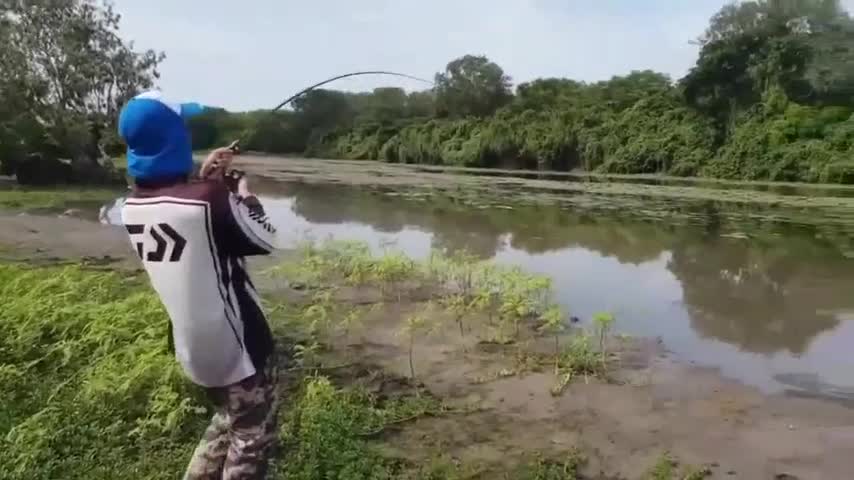 Video - Vừa câu được cá, 2 người đàn ông hốt hoảng bỏ chạy vì thấy thứ đáng sợ