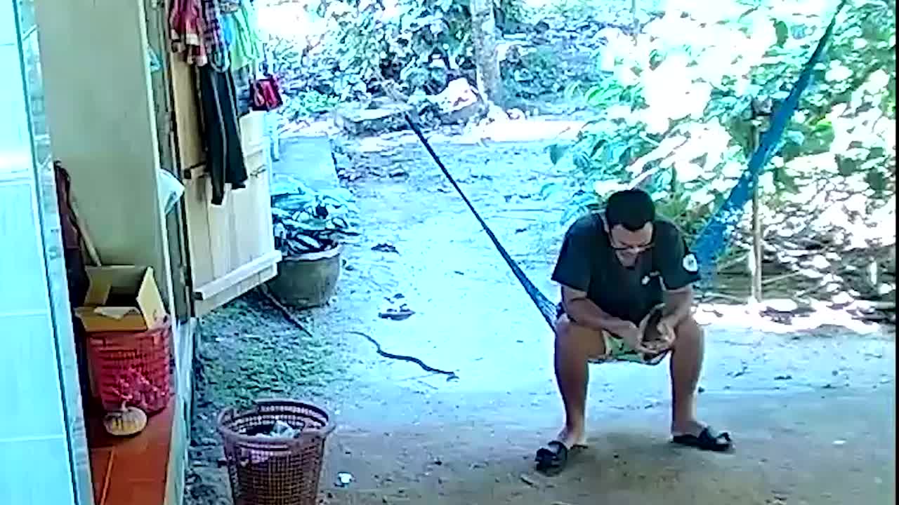Video - Clip: Thấy rắn bò dưới chân, người đàn ông có phản ứng bất ngờ