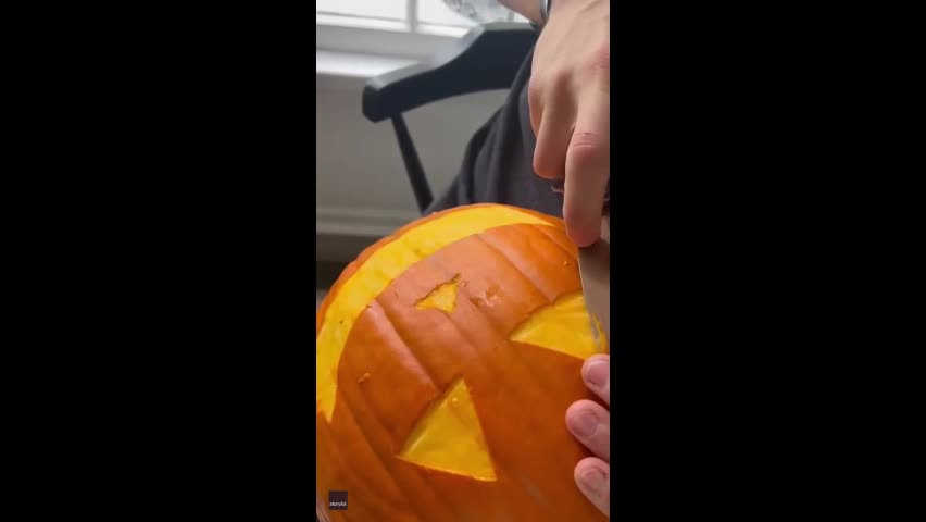 Video - Clip: Kinh ngạc đàn gà 'tham gia làm đèn bí ngô' để trang trí Halloween