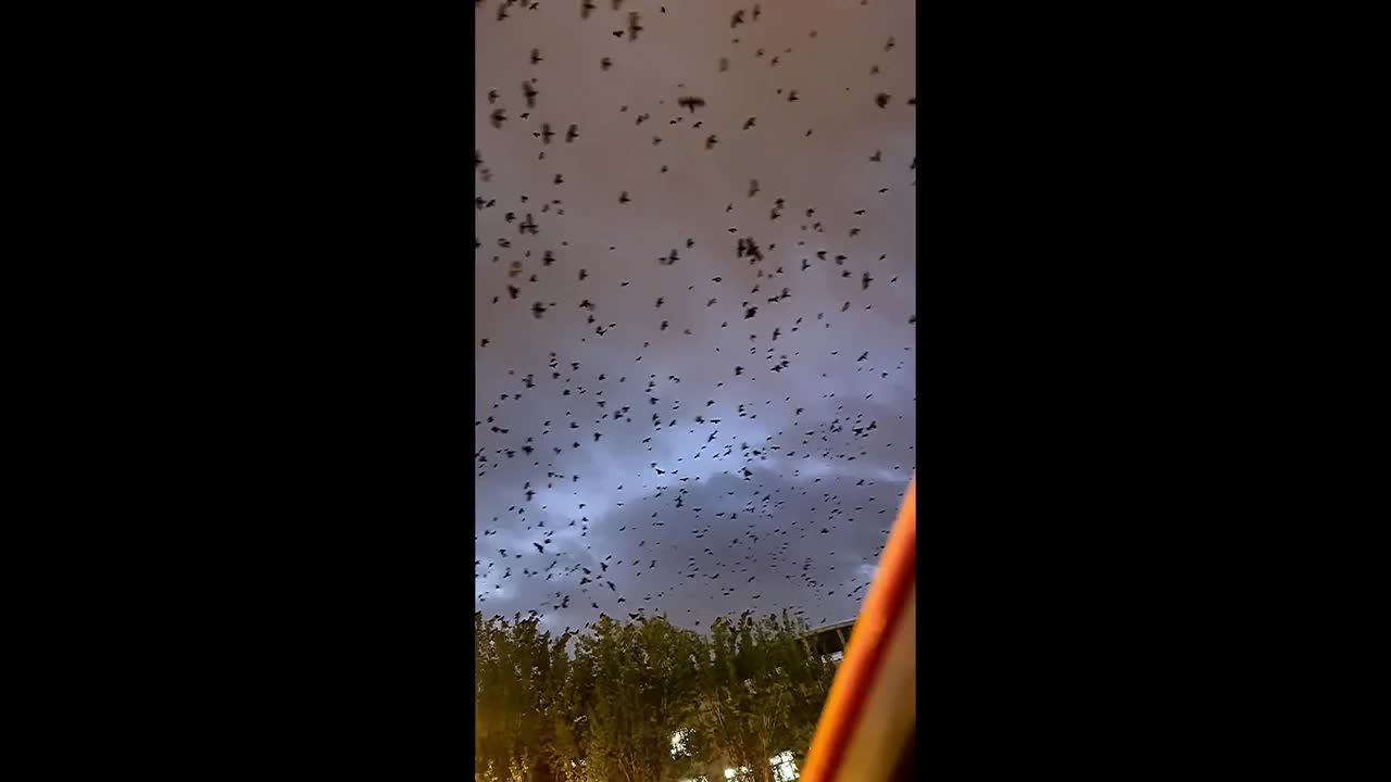 Video - Bầu trời bất ngờ xuất hiện cảnh tượng lạ khiến người dân kinh ngạc