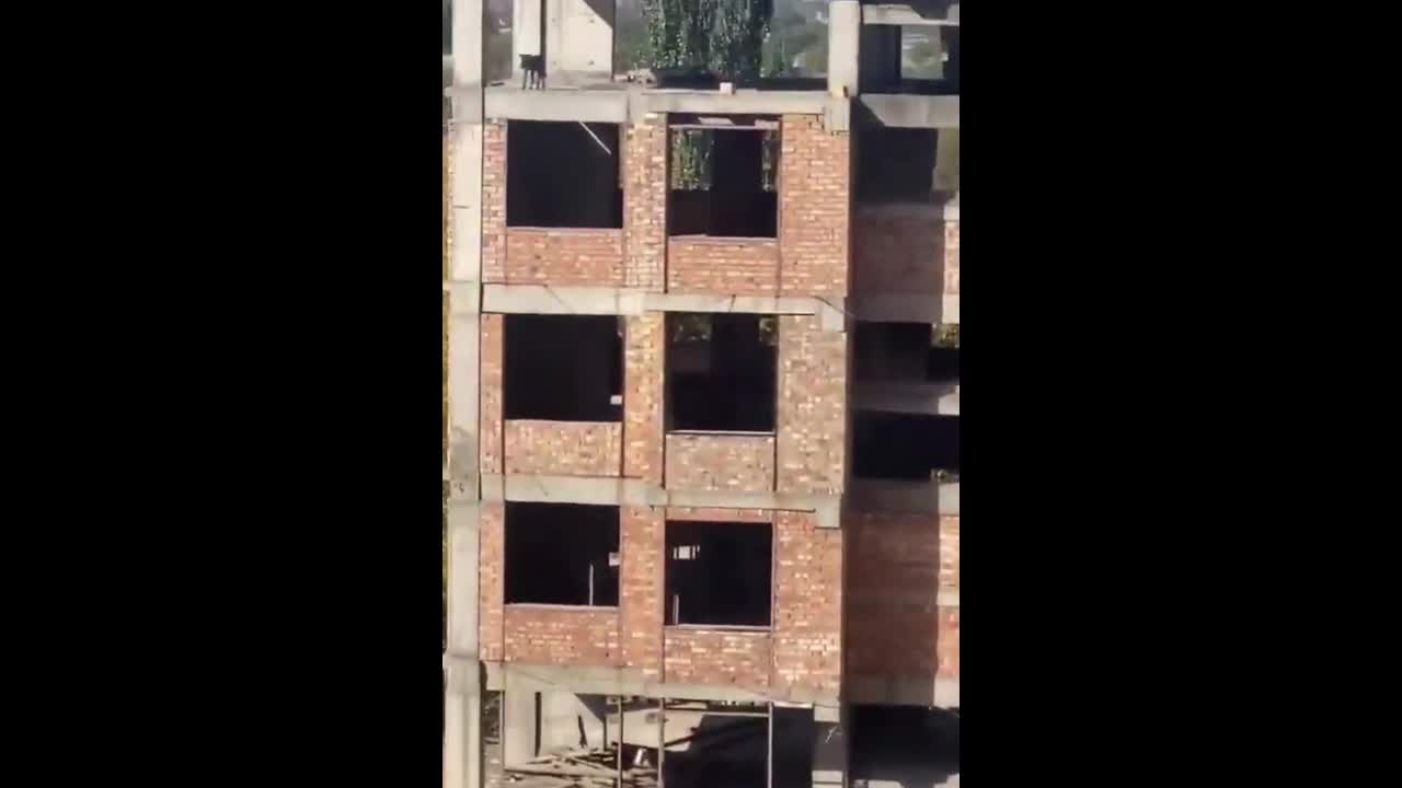 Video - Clip: Phi thường con chó nhảy từ tầng 5 tòa nhà xuống vẫn bình thường