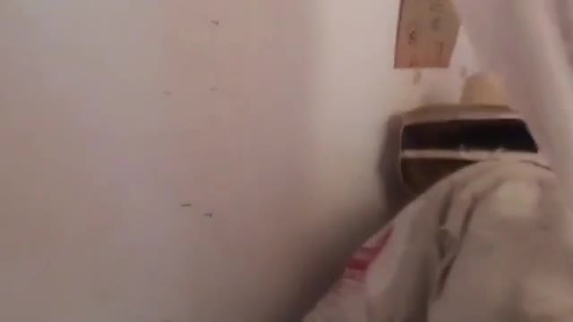 Video - Thấy chất lỏng lạ trên tường, người phụ nữ phát hiện ra cảnh khó tin