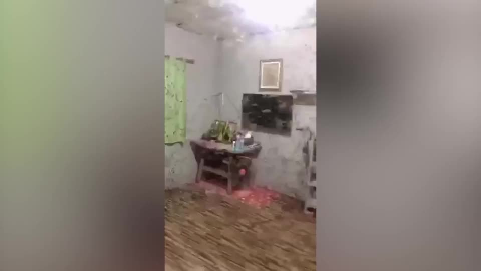 Video - Quên đóng cửa, người phụ nữ choáng váng trước cảnh tượng trong nhà