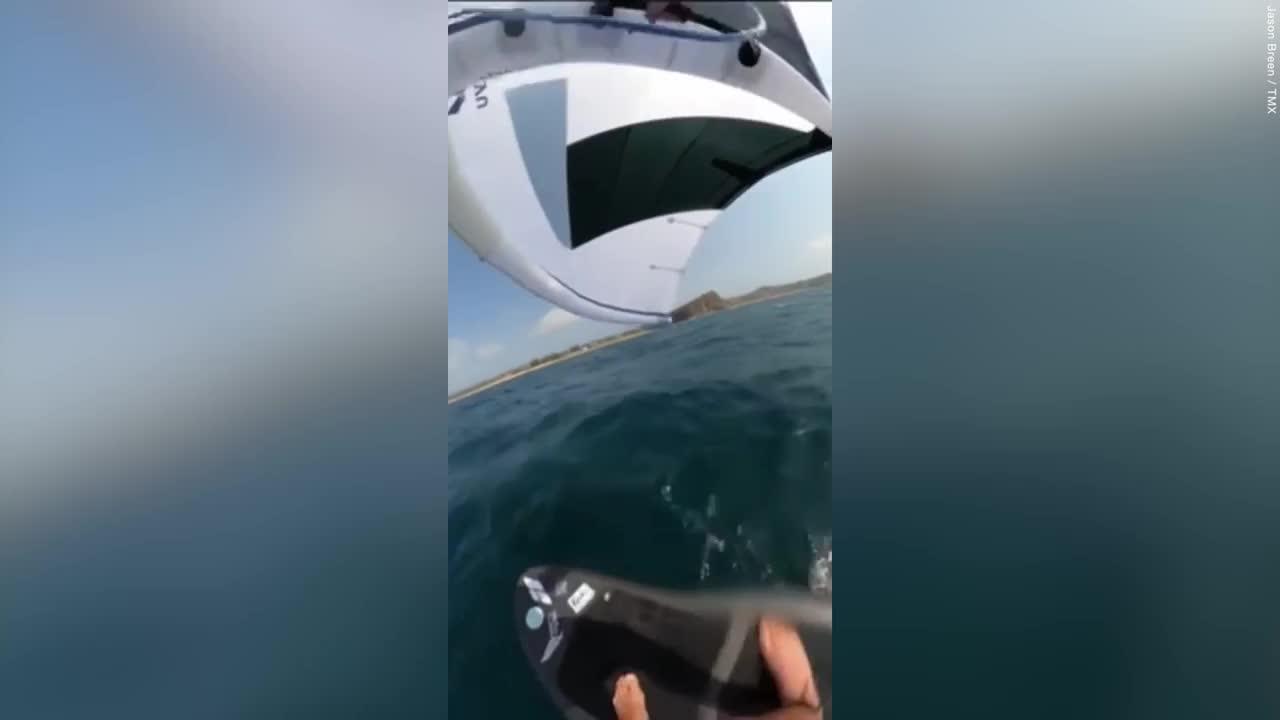 Video - Clip: Cá voi lưng gù bay khỏi mặt nước, hạ gục vận động viên lướt ván