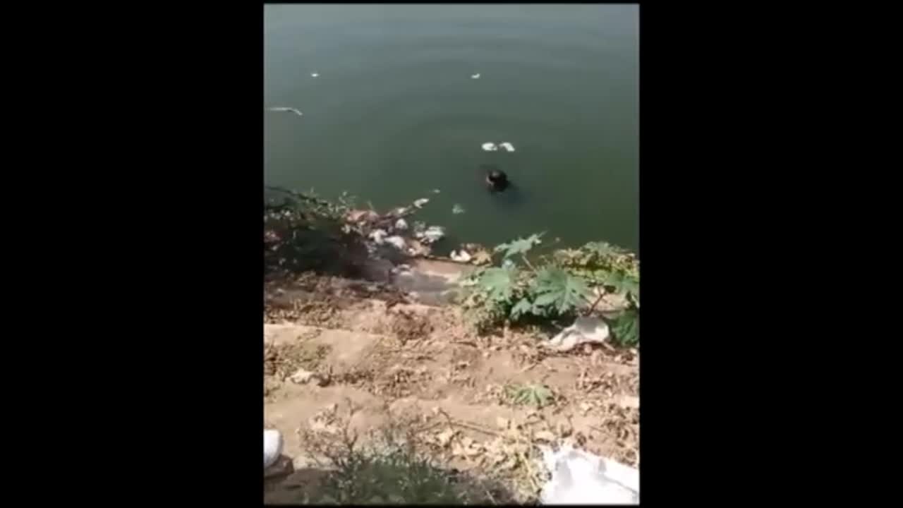 Video - Clip: Người đàn ông nhảy xuống sông trốn cảnh sát và cái kết