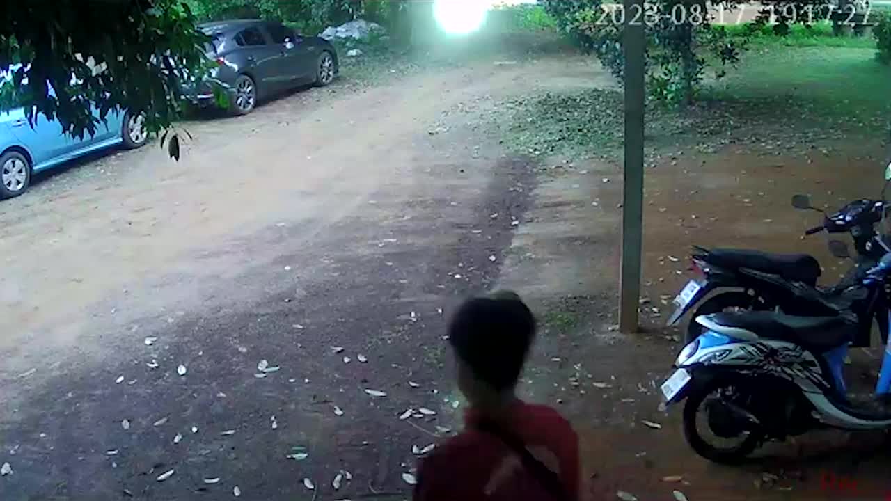 Video - Clip: Chó Pitbul hung hăng truy đuổi, tấn công 3 người đàn ông