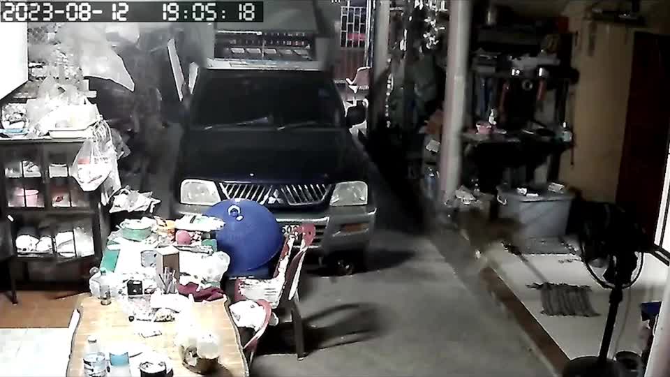 Video - Clip: Rắn vào nhà dân hung hăng tấn công chó cưng