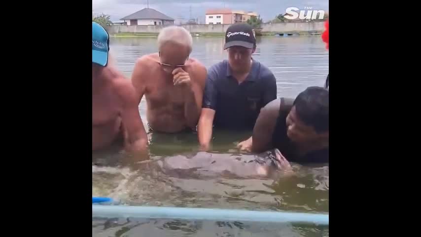 Video - Clip: Người đàn ông câu được cá chép khổng lồ nặng hơn 114kg