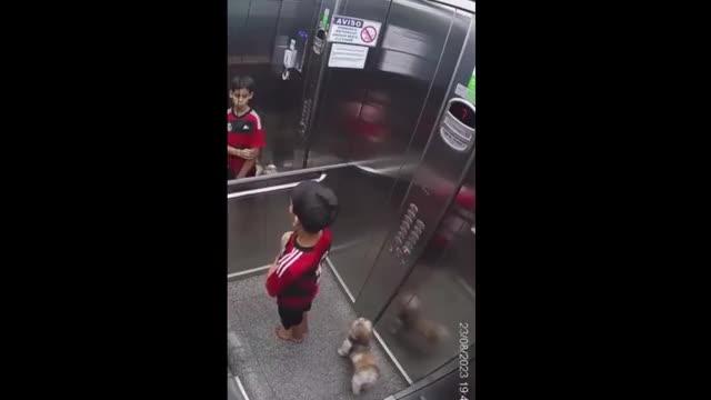 Video - Phản ứng cực nhanh, bé trai cứu chó cưng thoát nạn trong thang máy