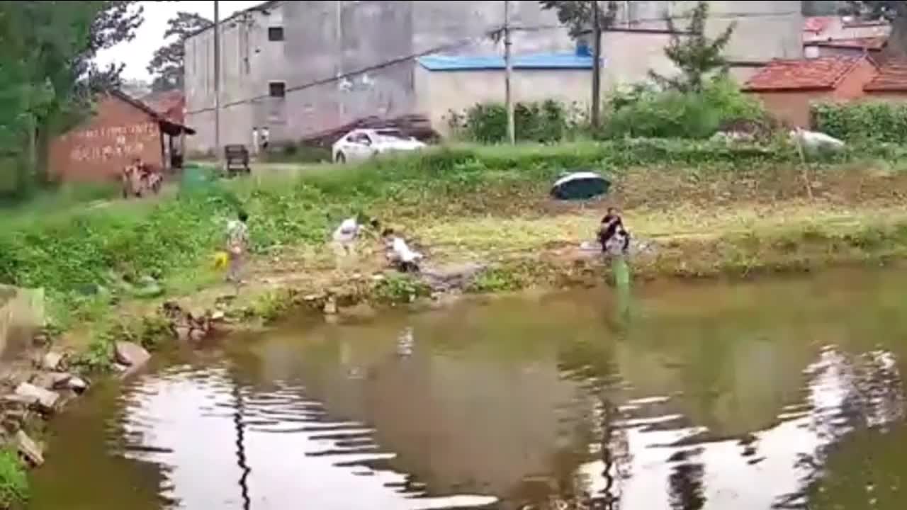 Video - Clip: Đang đứng câu cá, người đàn ông bị điện giật ngã gục xuống đất