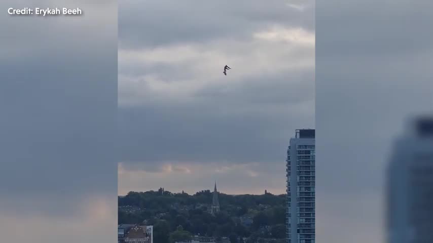 Video - Clip: Người phụ nữ bắt gặp vật thể lạ bay lơ lửng trên bầu trời