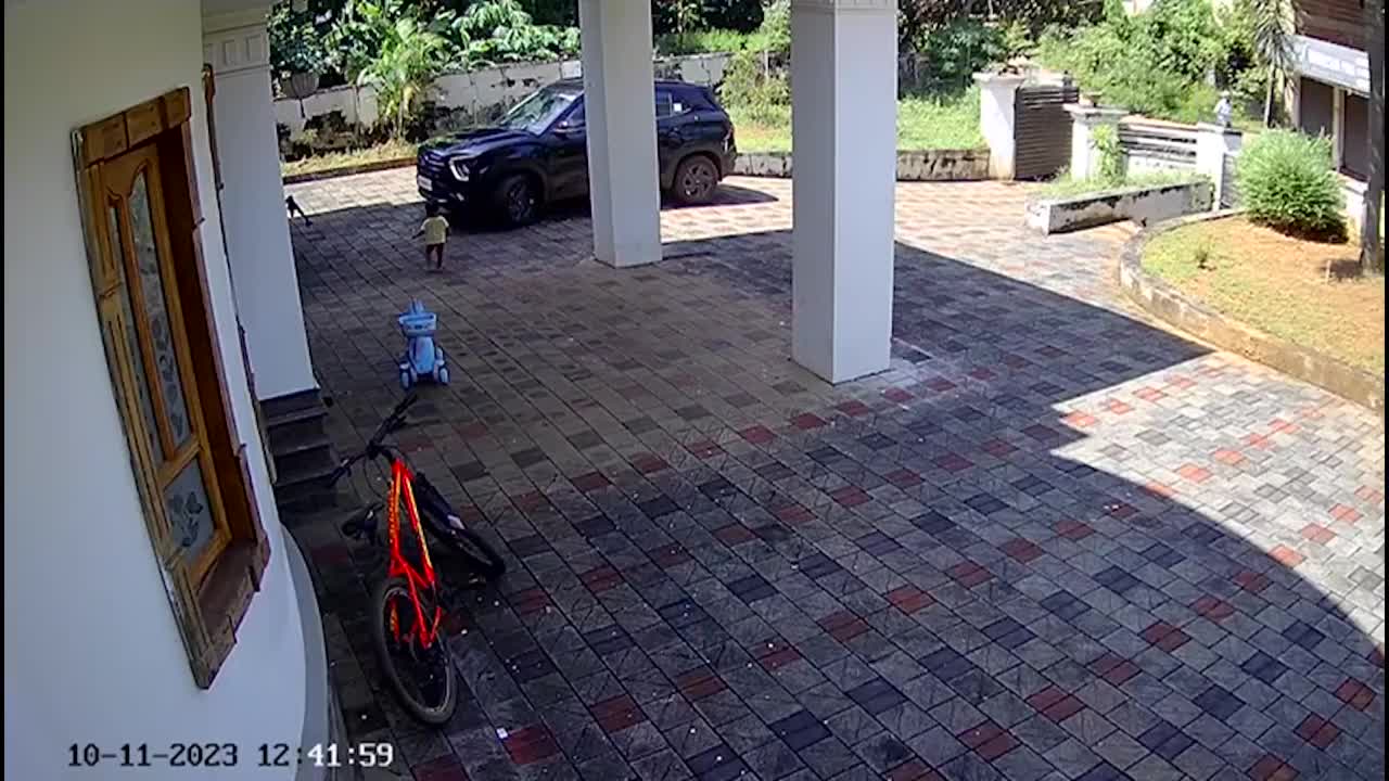 Video - Clip: Ông nội vô tình lái xe cán trúng cháu trai ngay trong sân nhà
