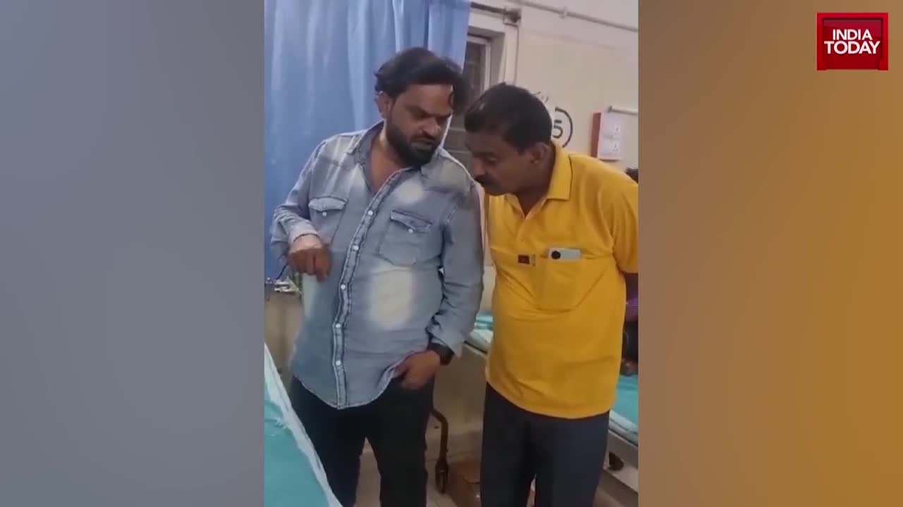 Video - Clip: Rắn hổ mang bất tỉnh được đưa tới bệnh viện thở oxy