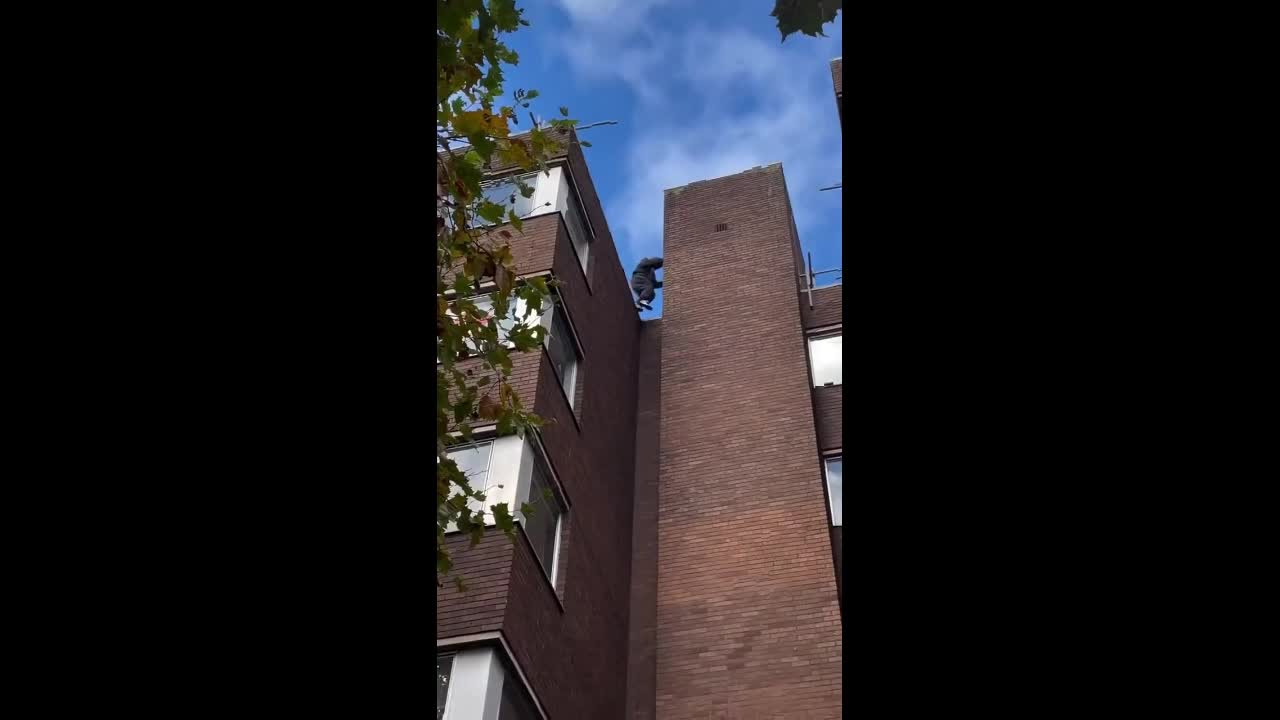 Video - Clip: Kinh ngạc người đàn ông trượt xuống từ tòa nhà 6 tầng