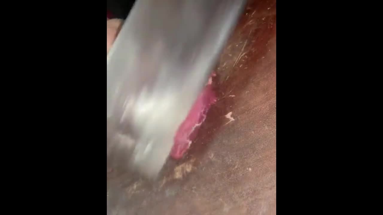 Video - Clip: Sự thật đằng sau miếng thịt vẫn còn động đậy sau khi cắt