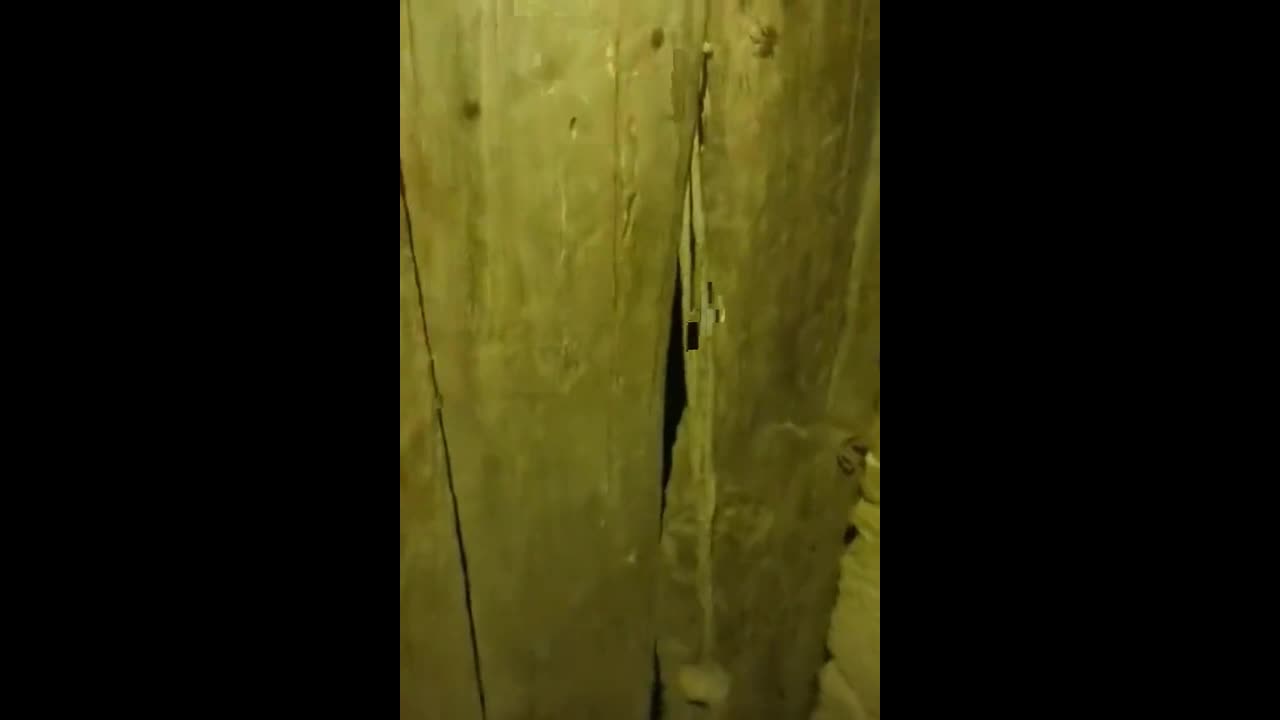 Video - Video: Đến xem chuồng gà vào buổi tối, chủ nhà phát hiện điều kinh hoàng