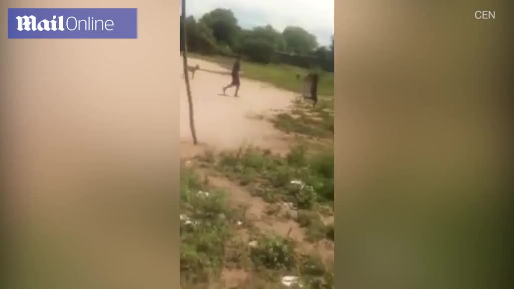 Video - Đang đá bóng, đám trẻ sợ hãi bỏ chạy khi chạm trán sinh vật đen sì