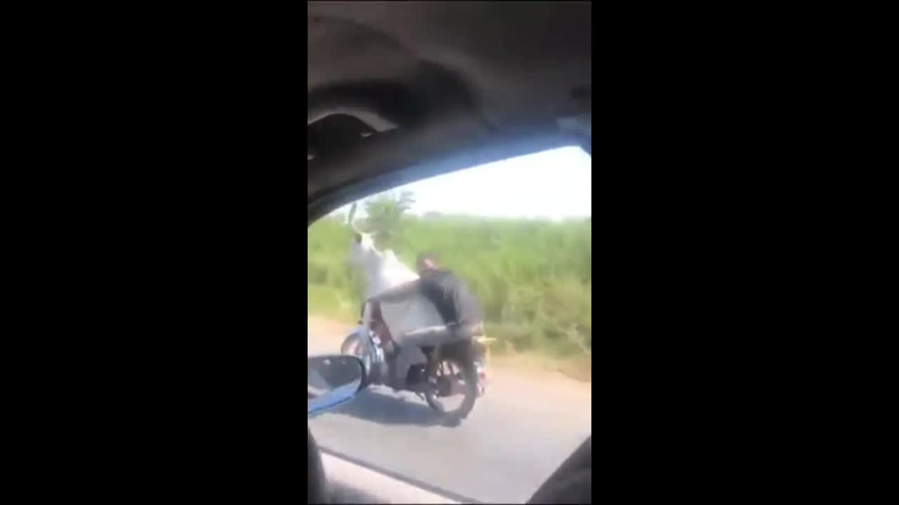 Video - Clip: Kinh ngạc người đàn ông đi xe máy để bò ngồi phía trước