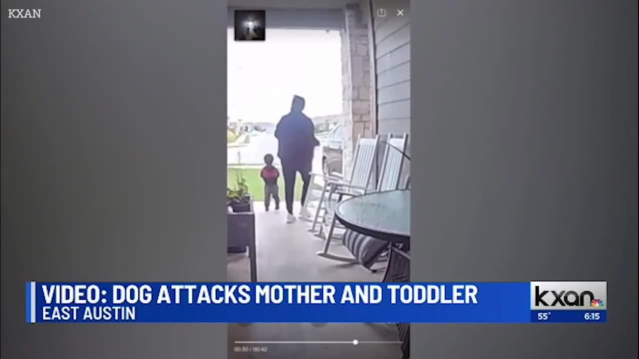 Video - 2 mẹ con bị chó dữ tấn công trước cửa nhà và màn thoát thân gay cấn