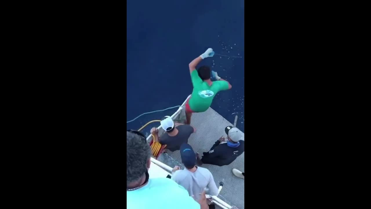 Video - Clip: Kinh hoàng cá mập cướp mồi trắng trợn từ tay cần thủ