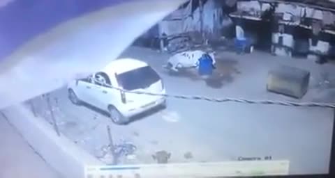 Video - Clip: Ba tên trộm cố nhét con bò vào cốp ô tô rồi tẩu thoát