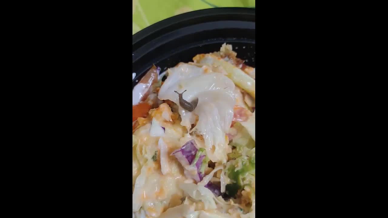 Video - Đặt món salad, người đàn ông sốc nặng khi thấy thứ bên trong