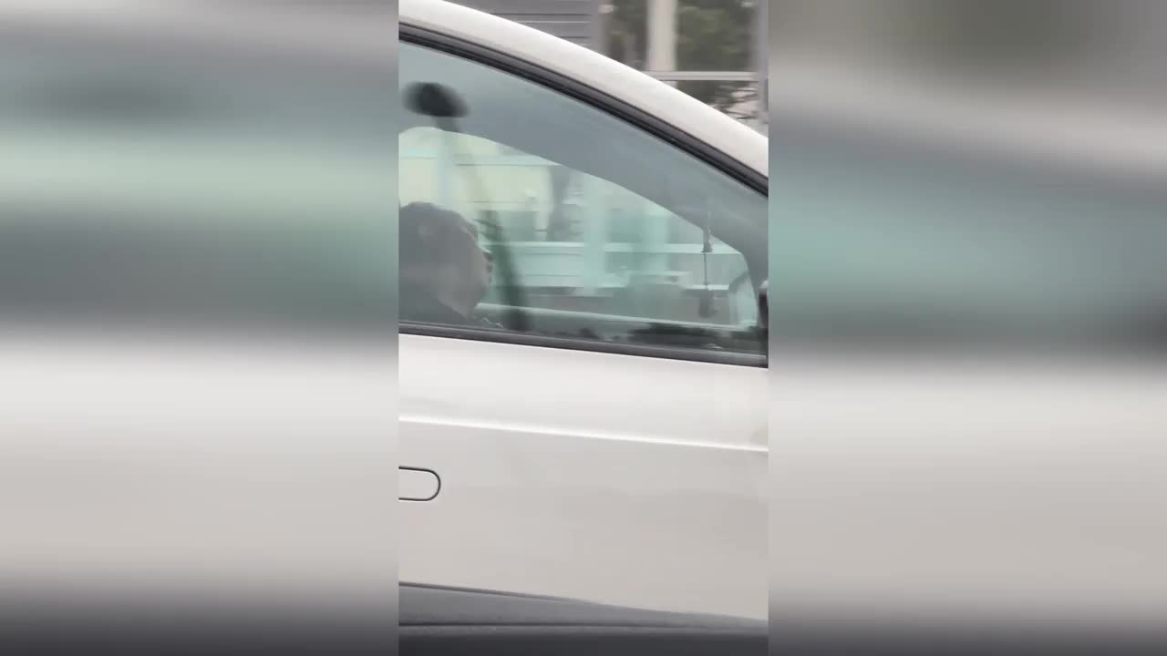 Video - Clip: Hoảng hồn cảnh tài xế ngủ gật khi đang lái xe trên đường cao tốc