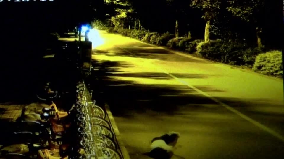 Video - Clip: Người đàn ông 'tung cước' đạp người phụ nữ văng khỏi xe máy