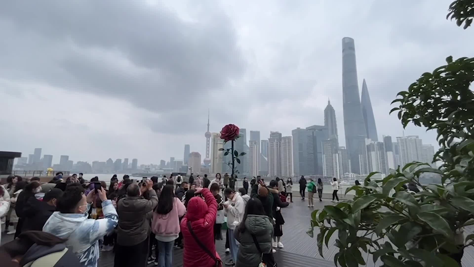 Video - Clip: Tượng hoa hồng khổng lồ thu hút nhiều người chụp ảnh dịp Valentine