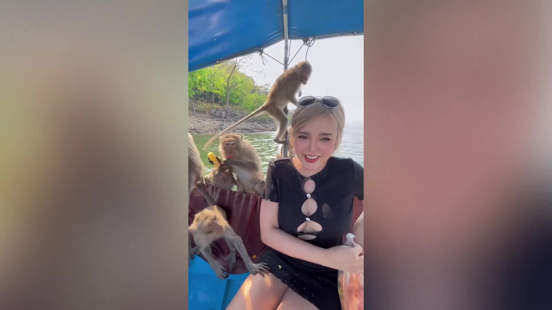 Video - Clip: Đàn khỉ trèo lên thuyền, leo lên người thiếu nữ và cái kết bất ngờ