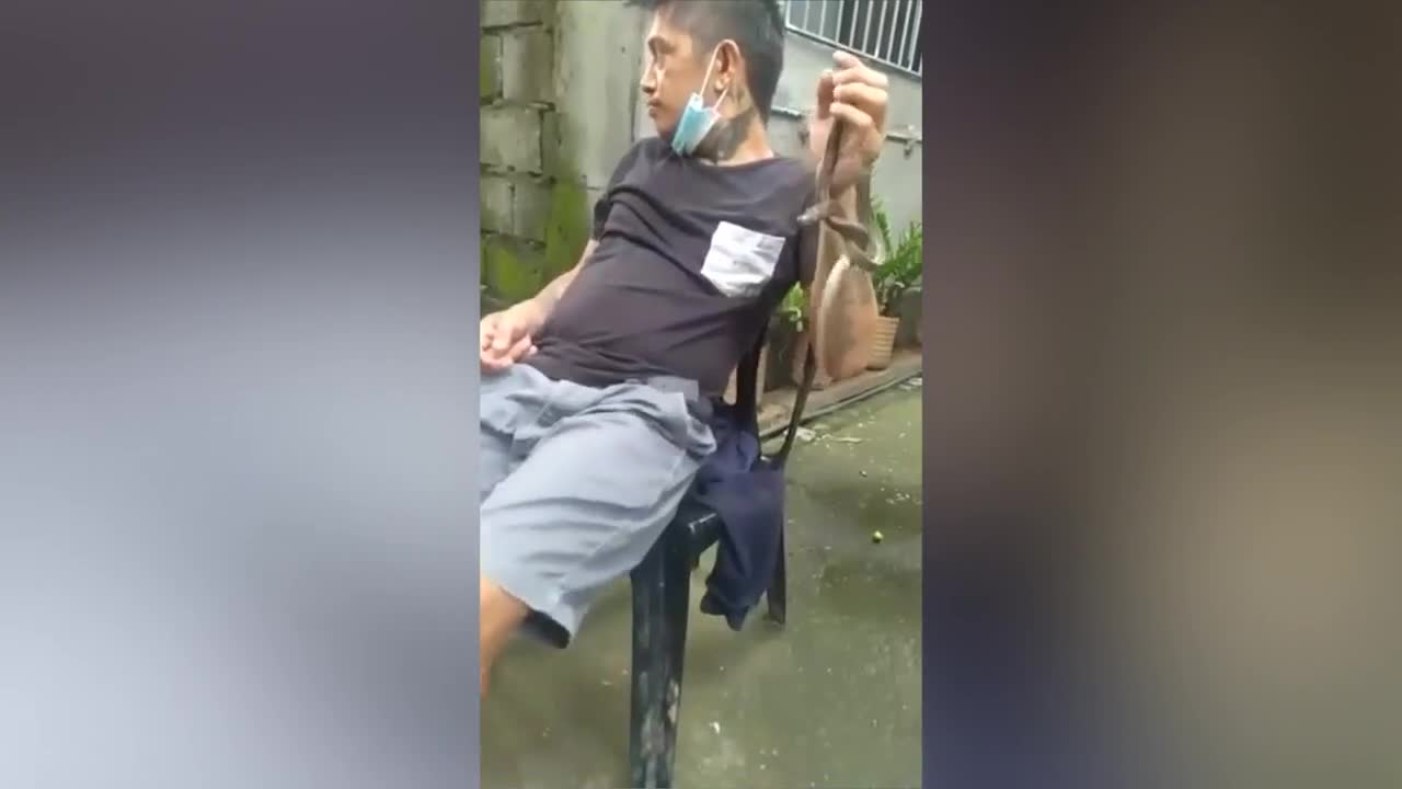 Video - Clip: Chu mỏ hôn con rắn cưng, người đàn ông bị đớp trúng miệng