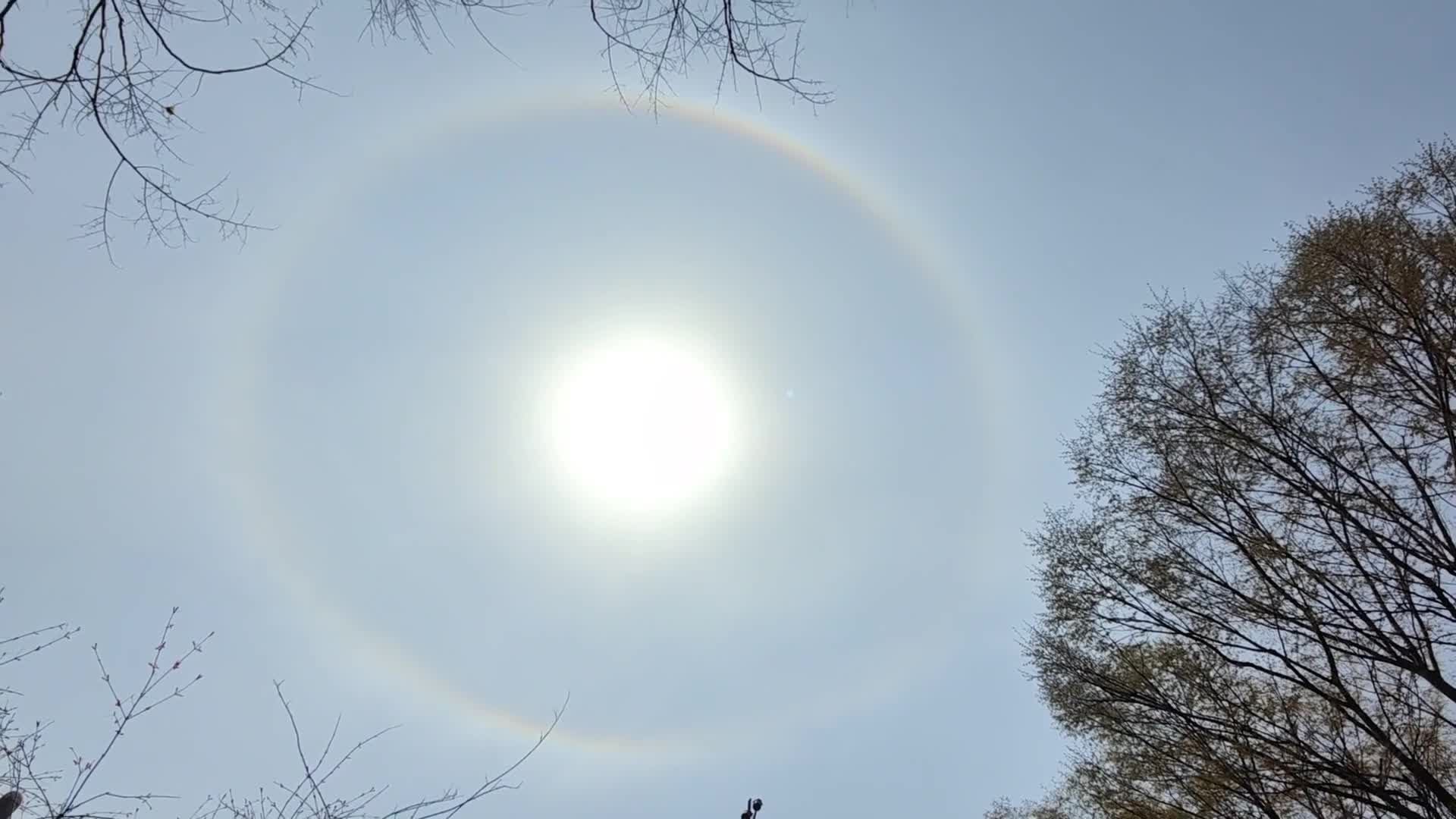 Video - Clip: Xuất hiện vòng tròn sáng bao quanh mặt trời ở Trung Quốc