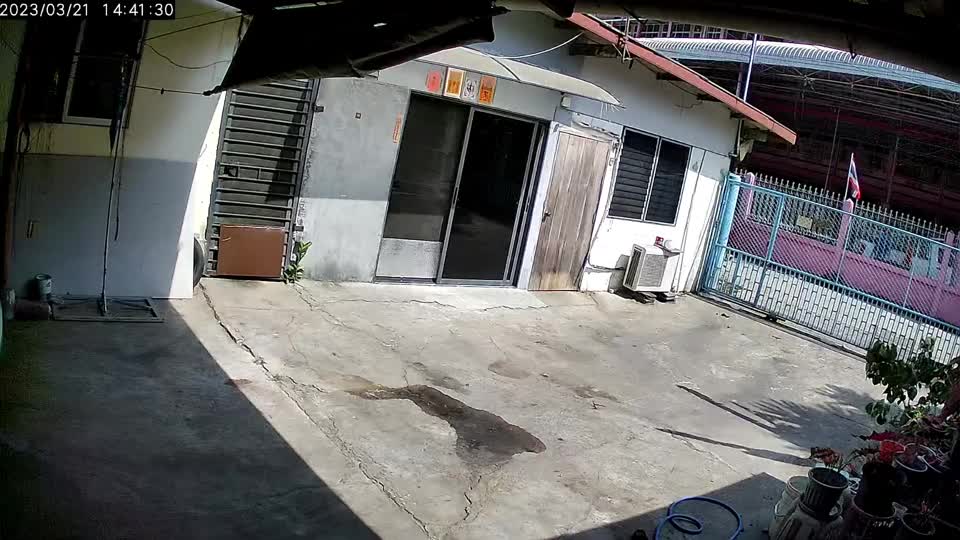Video - Clip: Chó cưng chiến đấu với thằn lằn để bảo vệ ngôi nhà của chủ nhân (Hình 2).