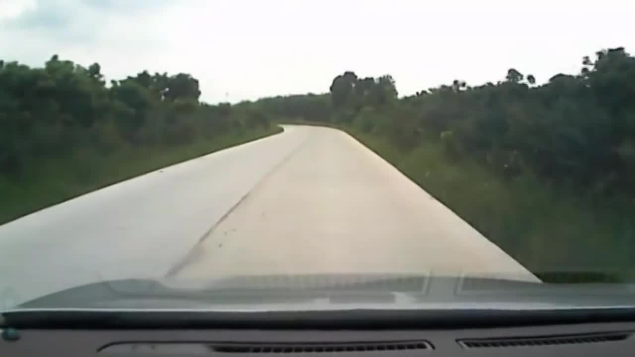 Video - Clip: Chạy sang đường bị ô tô tông trúng, bê con văng xa 10 mét