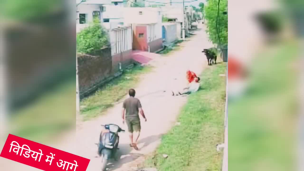 Video - Clip: Trâu đột ngột lao ra đường, 'hạ gục' người đàn ông đi xe máy