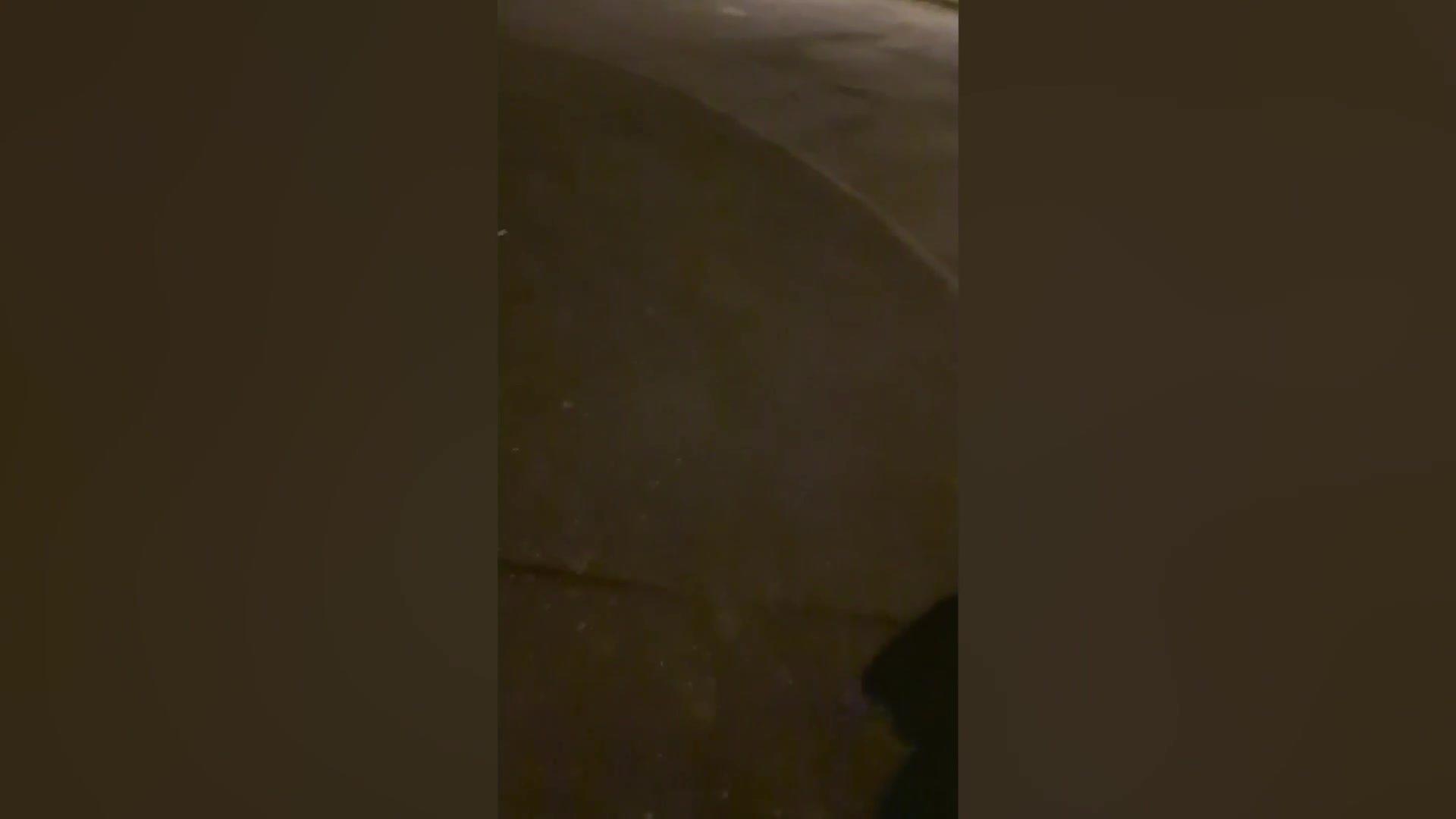 Video - Clip: Người dắt chó đi dạo chụp được UFO hình bánh rán bí ẩn