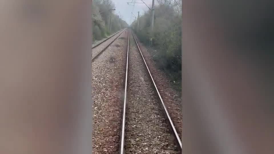 Video - Clip: Thỏ “chạy đua” với đoàn tàu và cái kết bất ngờ