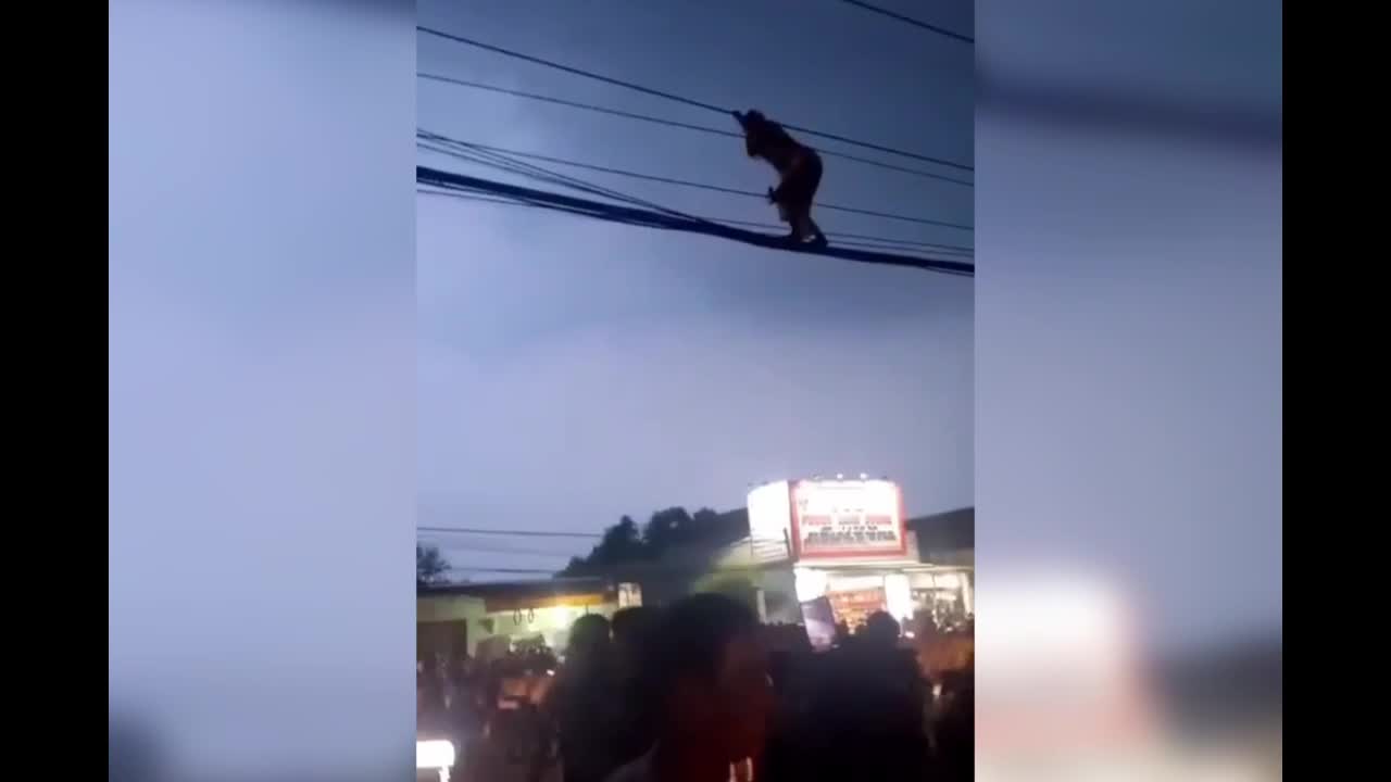 Video - Clip: Sốc cảnh cô gái đi lại trên đường dây điện như 'diễn xiếc'